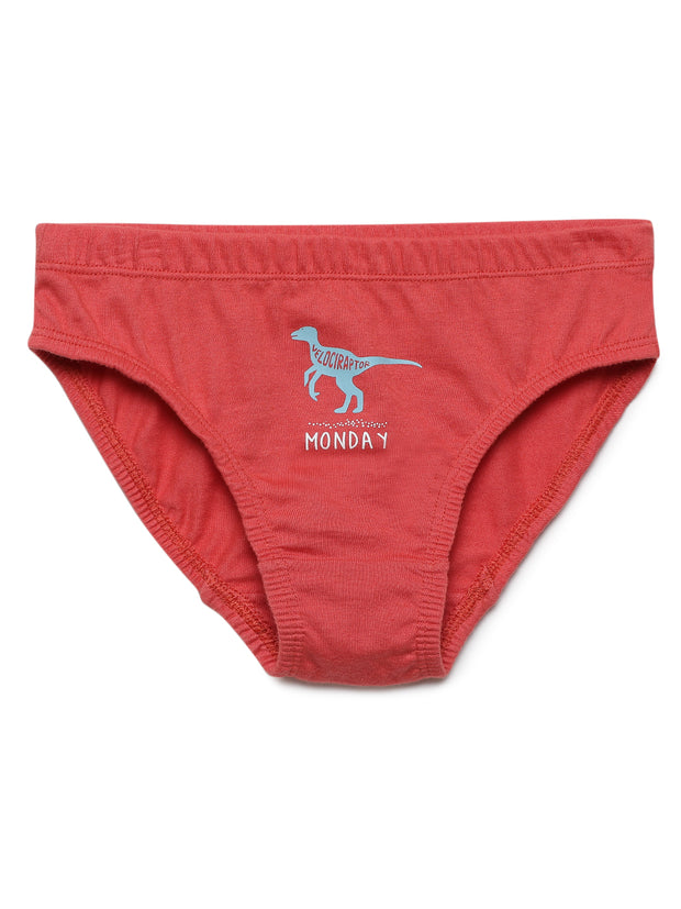 Boys Weekdays Dino Printed Brief Pack of 7