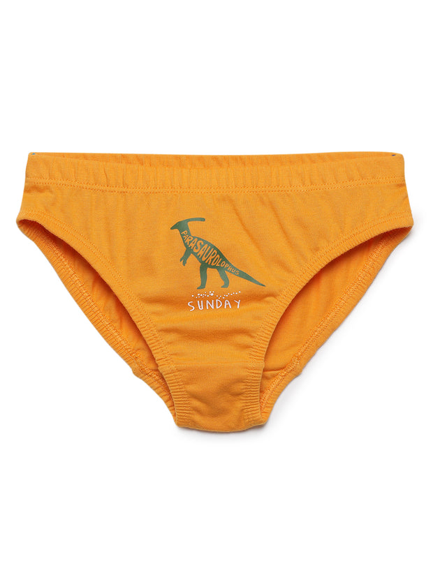 Boys Weekdays Dino Printed Brief Pack of 7